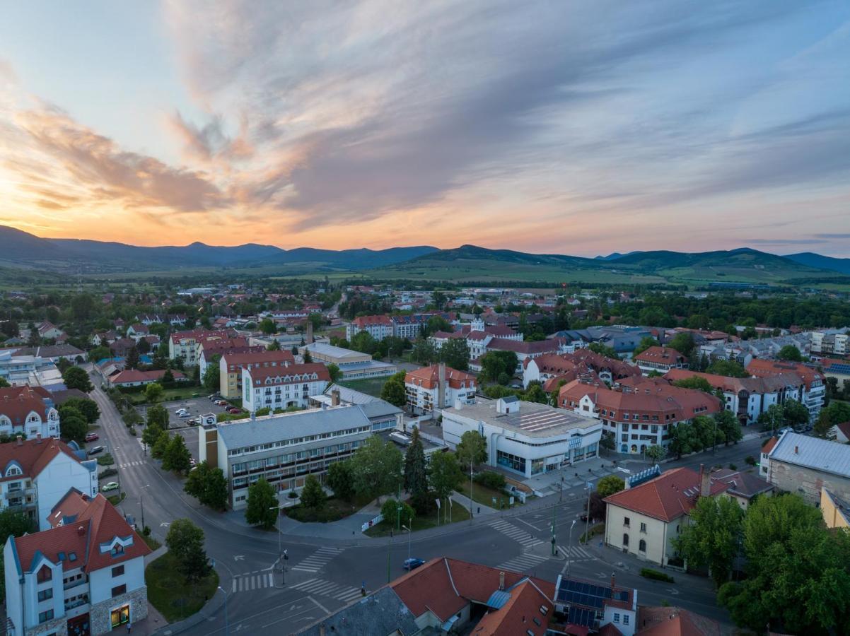 Hotel Bodrog Wellness & Elix Spa Sárospatak エクステリア 写真