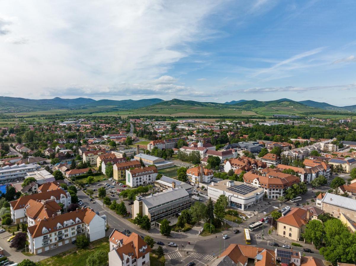 Hotel Bodrog Wellness & Elix Spa Sárospatak エクステリア 写真